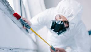 Best Real Estate Pest Inspections  in Rushvle, IL